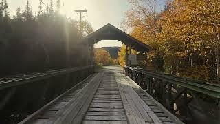 Autumn Splendor: Newfoundland's Colorful Transformation has begun !