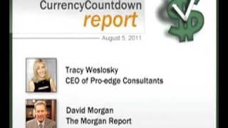 Tracy Weslosky Interviews David Morgan on the Currency Market, the Market 'Correction' & Gold/Silver