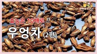 우엉차 효능, 우엉차 다이어트 10배 뛰어난 우엉차 만들기/ Korean food