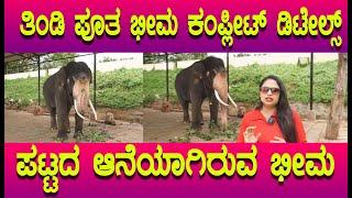 Dasara 2024 Bheema elephant,  ಭೀಮನ ಕಂಪ್ಲೀಟ್ ಡಿಟೇಲ್ಸ್ ಅನಾಥ ವಾಗಿದ್ದ ಆನೆಯೇ ಈ ಕರ್ನಾಟಕದ ನೆಚ್ಚಿನ ಆನೆ