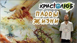 ПЛОДЫ моей христианской ЖИЗНИ и проповеди Истины ️#ХРИСТОЛЮБ #ВЕГАН ️#ПАЦИФИСТ #КОСМОПОЛИТ