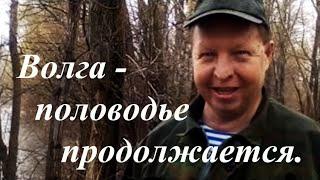 Волга - половодье продолжается.