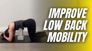 Improve Lumbar Spine Mobility | Lumbar Segmentation Kinstretch Class Clip