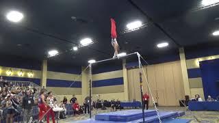 Asher Hong - High Bar - 2020 Winter Cup Finals