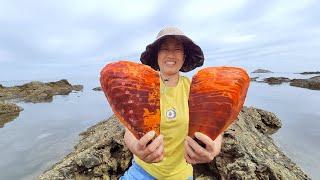 Giant horn scallops. Pearl coast. Glassy water. Lots of seafood