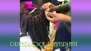 Vibe Hair Studio Dreadlock Transplant