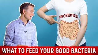 What is the Best Food for Good (Friendly) Bacteria? – Dr. Berg