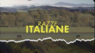 RAZZE ITALIANE: CAVALLO PENTRO (31/12/2023)