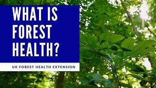 What is Forest Health?