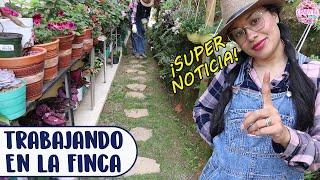 Haciendo mantenimiento a la finca y les tengo una SUPER NOTICIA │Candy Bu