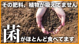 【やっとわかった!】土壌微生物基礎講座【糸状菌・細菌・放線菌・バチルス・光合成細菌・納豆菌・酵母菌・菌根菌他】