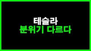 테슬라 분위기 다르다