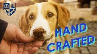 Using your hands to effectively train your dog.