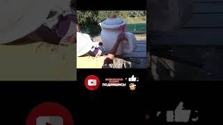 чайник из  цемента. покраска.  идеи  для  дома.