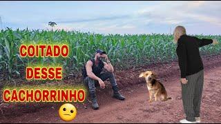 - REVOLTANTE O QUE ELE FEZ COM O CACHORRINHO - SPIRITBOX