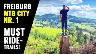 Freiburg MTB Trails mit E BIKE - Canadian & Hexentrail