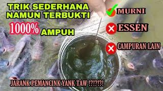 Terbukti 1000%‼️ Trik dan cara ampuh mancing ikan nila supaya ikan cepat ngumpul dan langsung strike