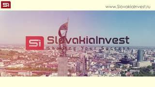 Консалтинговая компания для иностранцев в Словакии: SlovakiaInvest