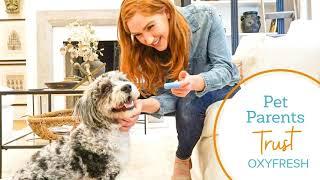 The Perfect All-in-One Solution for Pet Dental Health