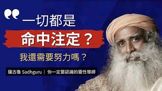 超越命運：薩古魯大師教你如何改變人生 | 瑜伽哲學｜薩古魯 Sadhguru｜靈性導師、瑜伽士和作家｜創立伊夏基金會(Isha Foundation)