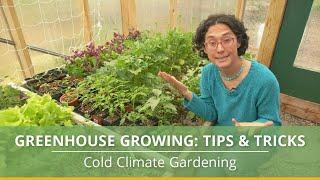 Learn How to Grow Vegetables in a Greenhouse With These Helpful Tips!