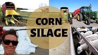 HOW ITS MADE! |  Harvesting and Storing Corn Silage for Sheep Feed 2019: Vlog 166