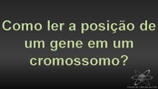 como ler a posição de um gene no cromossomo