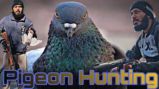 Pigeon hunting 2023|| hunting video|| Air gun hunting || the bearded hunters #hunters #pigeonhunting