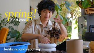 Long Day of Plant Care | spring fertilizing and repotting