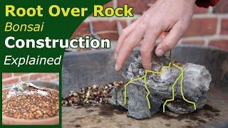 Root over Rock Bonsai explained | Bonsai Basics - Step by step