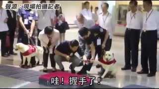 神犬無誤！ 連汪星人也懼怕「死亡之握」--蘋果日報 20150614