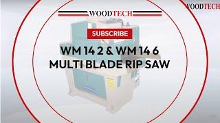 WOODTECH - WM 14 2 & WM 14 6 - MULTI BLADE RIP SAW #woodworking #factory #factoryshorts