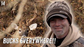 Crazy RUT action || Iowa Pt. 1 ||