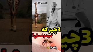 راجب پشه ها اینو میدونستید!؟#shorts #short #میدونستی #فکت #اطلاعات_عمومی #صدا #حیوانات #پشه