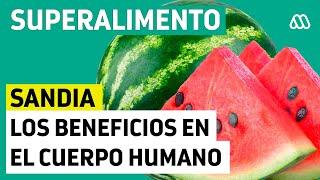 Los múltiples beneficios de la Sandía en el cuerpo humano