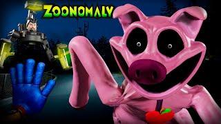 NUEVOS SECRETOS DE ZOONOMALY  | ENCUENTRO A PICKY PIGGY Y ME AYUDA 