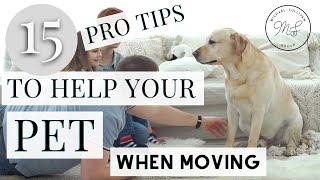 15 Pro Tips When Moving With Pets: HOW TO MAKE MOVING EASY ON YOUR DOG AND CAT; New Home with Pets