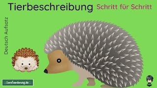  Tierbeschreibung - Schritt für Schritt Anleitung