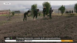 Green Vines farmers at Misty Mount in the Eastern Cape creating job opportunities