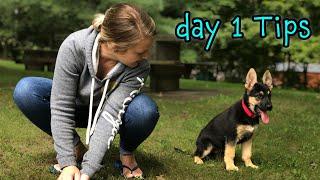 German Shepherd Puppy Day 1 Training Tips - START TRAINING NOW!