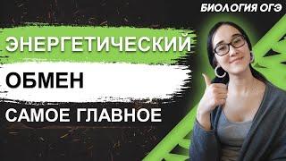 ОГЭ Биология 2022 | Энергетический обмен | Все самое интересное для легкого запоминания
