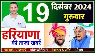 19 December 2024 Haryana News || हरियाणा की ताजा खबरें || Haryana Live News || CWB Hindi News