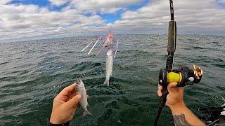 FOUR Hours Of Kayak Ocean Fishing | Surf Launches, Trolling, Jigging, & Chunking The Coast