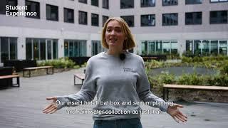 The most sustainable student housing | Amsterdam Minervahaven | Student Experience