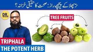 Triphala: Sehat Ka Asli Khazana? Triphala Benefits in Urdu/Hindi | Dr. Ibrahim