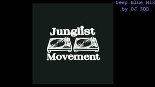 Jungle Mixed by DJ ZDR / DEEP BLUE