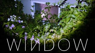 WINDOW | Short Horror Film