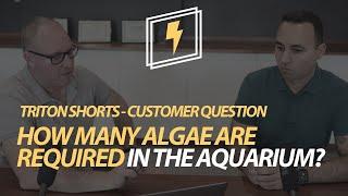 How many algae are required in the aquarium?