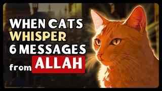 Benefits of  CAT in ISLAM | Umma Islam