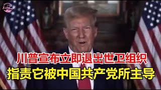 最新消息：川普总统宣布立即退出世界卫生组织 (WHO)指责它被中国共产党（CCP）和像比尔·盖茨这样的全球精英所主导【Echo走遍美国】 【Echo's happy life】 【Echo的幸福生活】